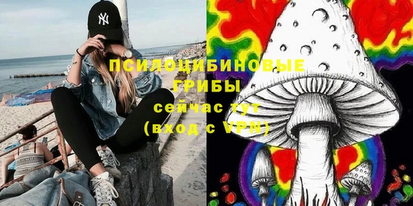 ГАЛЛЮЦИНОГЕННЫЕ ГРИБЫ Осинники