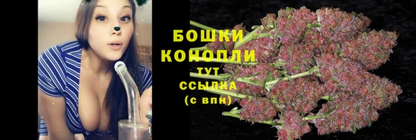 мескалин Осташков