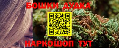 гидра Гусев