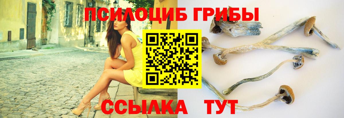 Холмск  Псилоцибиновые грибы прущие грибы  закладка  Вход с VPN 