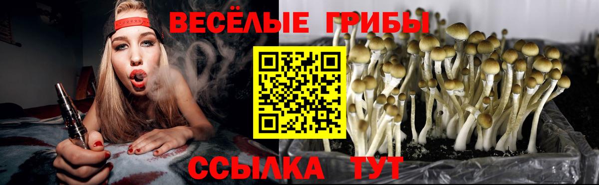 Галлюциногенные грибы прущие грибы Холмск